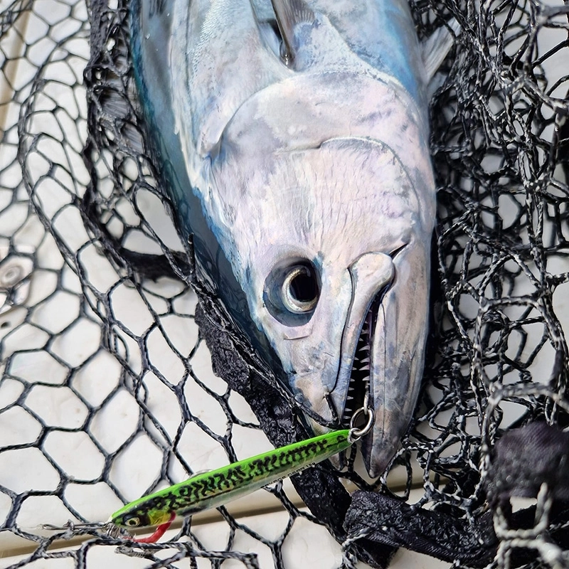 Savage Gear 3D Jig Minnows